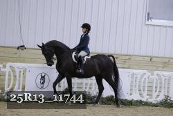 25R13_11744 thumbnail