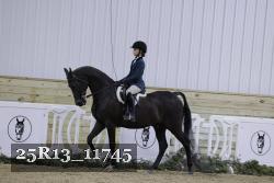 25R13_11745 thumbnail