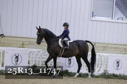 25R13_11747 thumbnail