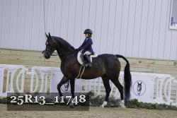 25R13_11748 thumbnail
