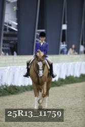 25R13_11759 thumbnail