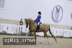 25R13_11760 thumbnail