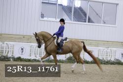 25R13_11761 thumbnail