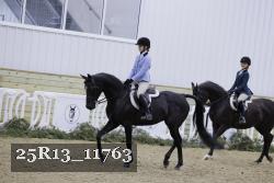 25R13_11763 thumbnail