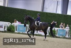 25R13_11764 thumbnail