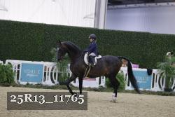 25R13_11765 thumbnail