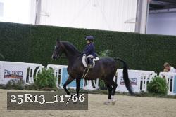 25R13_11766 thumbnail