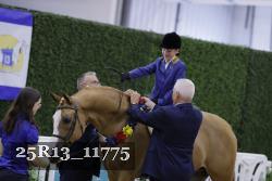25R13_11775 thumbnail