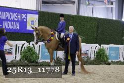 25R13_11778 thumbnail