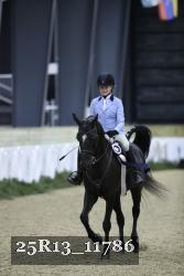 25R13_11786 thumbnail