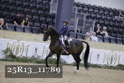 25R13_11789 thumbnail