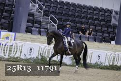 25R13_11791 thumbnail