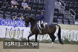 25R13_11792 thumbnail