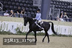 25R13_11798 thumbnail