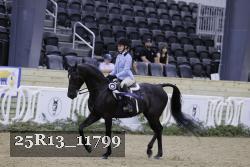 25R13_11799 thumbnail