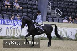 25R13_11800 thumbnail