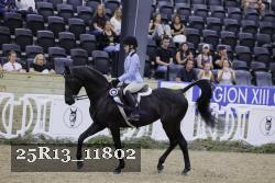 25R13_11802 thumbnail