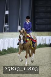 25R13_11803 thumbnail