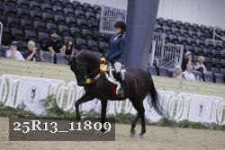 25R13_11809 thumbnail