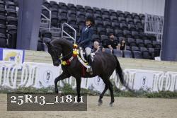 25R13_11811 thumbnail