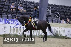 25R13_11812 thumbnail