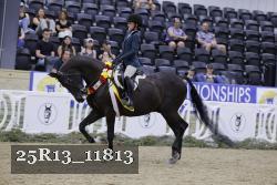 25R13_11813 thumbnail