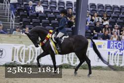 25R13_11814 thumbnail