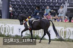 25R13_11817 thumbnail