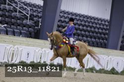 25R13_11821 thumbnail