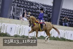 25R13_11822 thumbnail