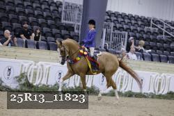 25R13_11823 thumbnail