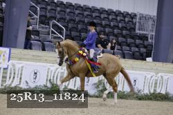 25R13_11824 thumbnail