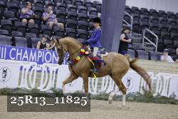 25R13_11825 thumbnail