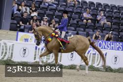 25R13_11826 thumbnail