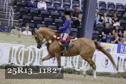25R13_11827 thumbnail