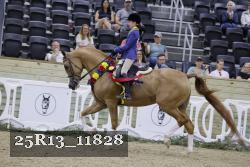 25R13_11828 thumbnail