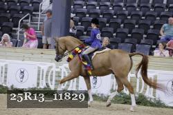 25R13_11829 thumbnail