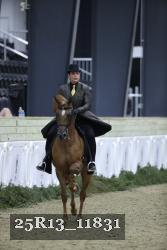25R13_11831 thumbnail