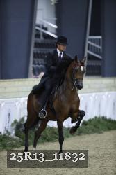 25R13_11832 thumbnail