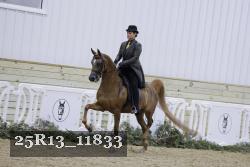 25R13_11833 thumbnail
