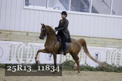 25R13_11834 thumbnail