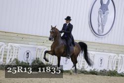 25R13_11835 thumbnail