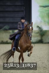 25R13_11837 thumbnail