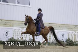 25R13_11838 thumbnail