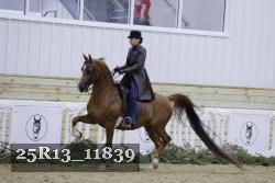25R13_11839 thumbnail