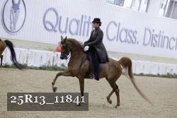 25R13_11841 thumbnail