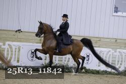 25R13_11842 thumbnail