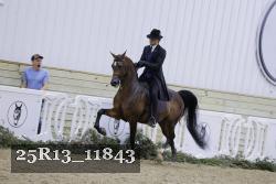 25R13_11843 thumbnail