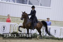 25R13_11844 thumbnail