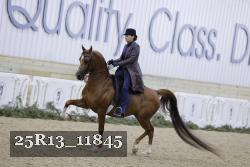 25R13_11845 thumbnail